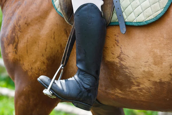 Mann auf einem Pferd — Stockfoto