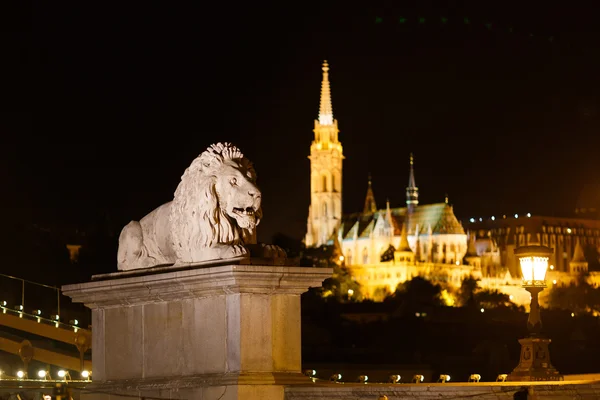 Oroszlán, budapesti szobra — Stock Fotó