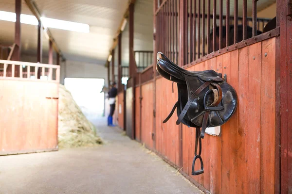 Leather saddles horse — Stock Photo, Image