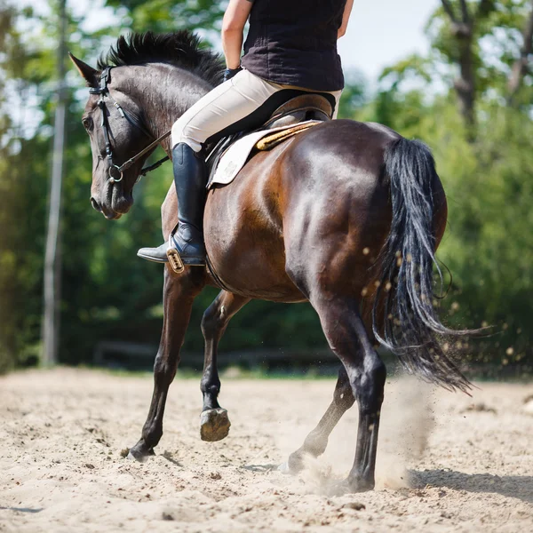 Cavalo cavaleiro saltando — Fotografia de Stock