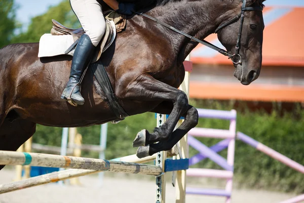 Horse rider jumping — Stock Photo, Image