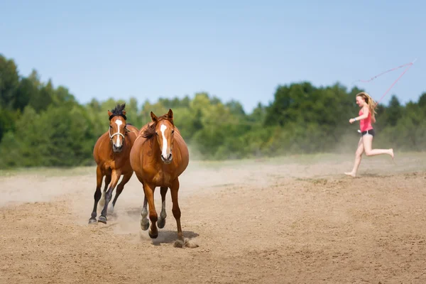 Two running horses — Stock Photo, Image
