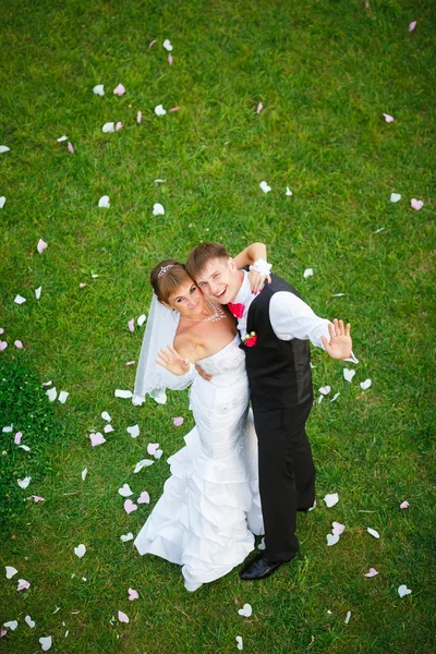 Casal feliz casamento de pé na grama verde — Fotografia de Stock