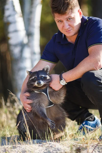 Man med tvättbjörn — Stockfoto