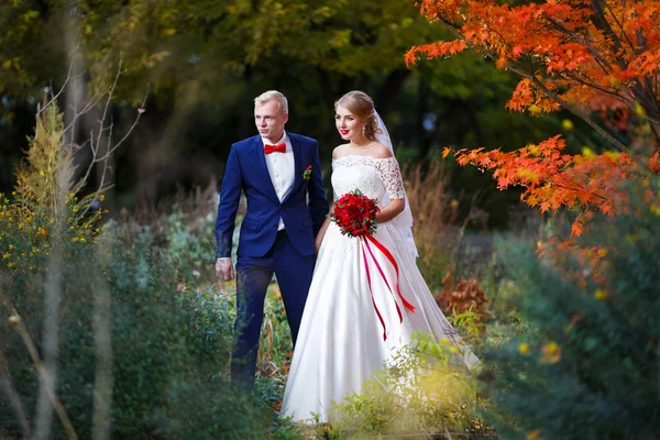 Wedding couple in the autumn forest — Stock Photo, Image