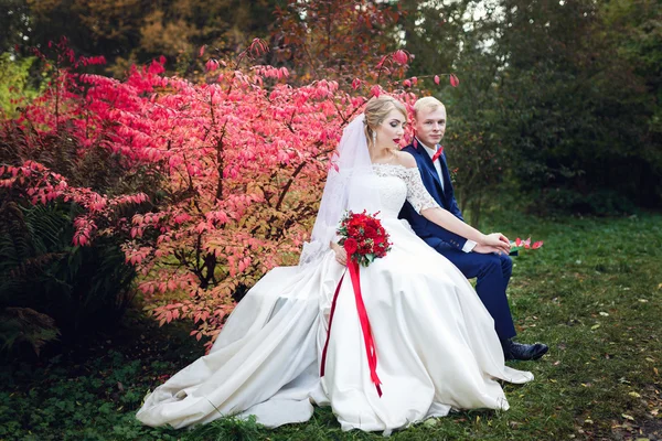 Wedding couple near the red bush — Stock Photo, Image