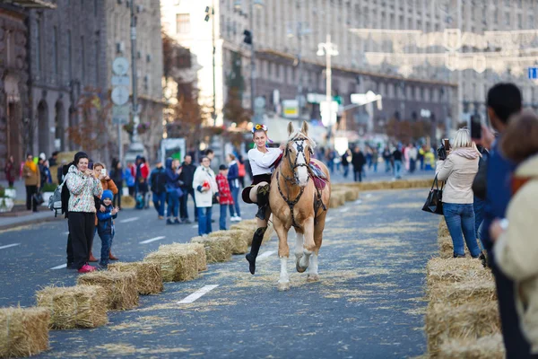 The cossacks show of riding — Stock Photo, Image