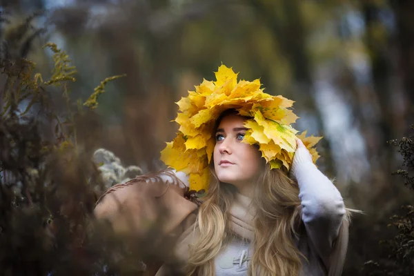 Beauty in fall — Stock Photo, Image