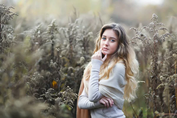 Fiatal lány egy száraz fű — Stock Fotó