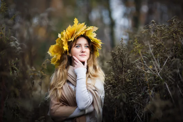 Skjønnhet om høsten – stockfoto