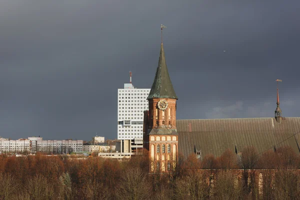 Katedralen i Kant — Stockfoto