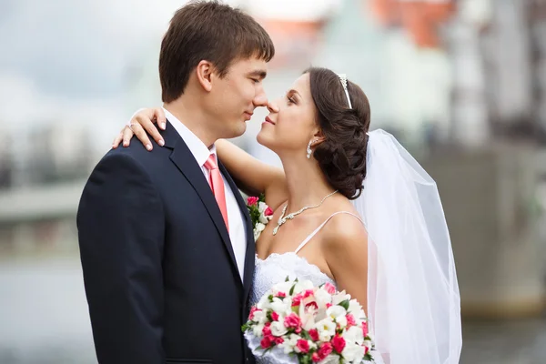 Kiss of lovers — Stock Photo, Image