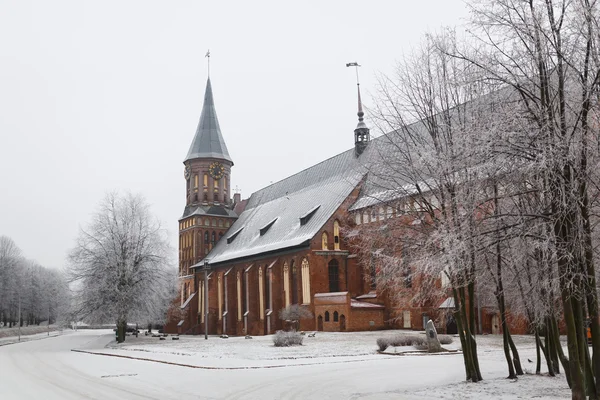 Catedral no inverno — Fotografia de Stock