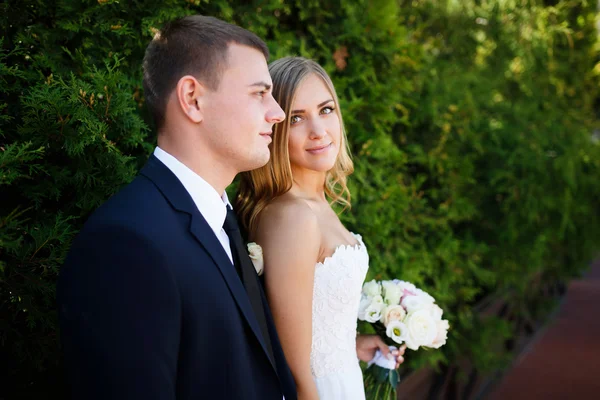 Embracing wedding couple — Stock Photo, Image