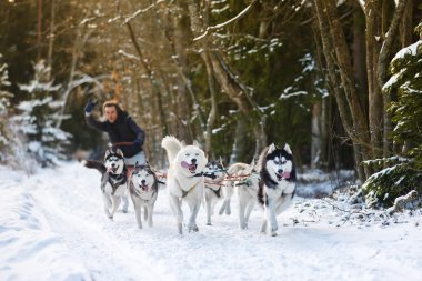 Eğlence koşusu kazanmak için