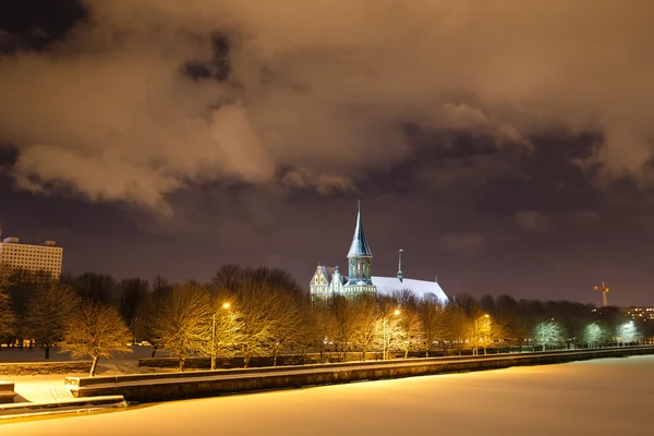 在冬天的大教堂 — 图库照片