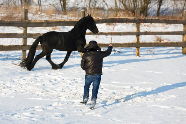 Hombre dressage caballo frisón negro — Foto de Stock
