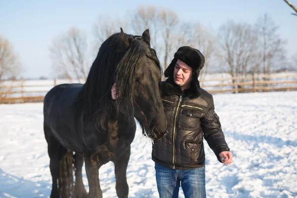 Людина з турецьким конем — стокове фото
