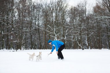 Komik şirketin kar üzerinde