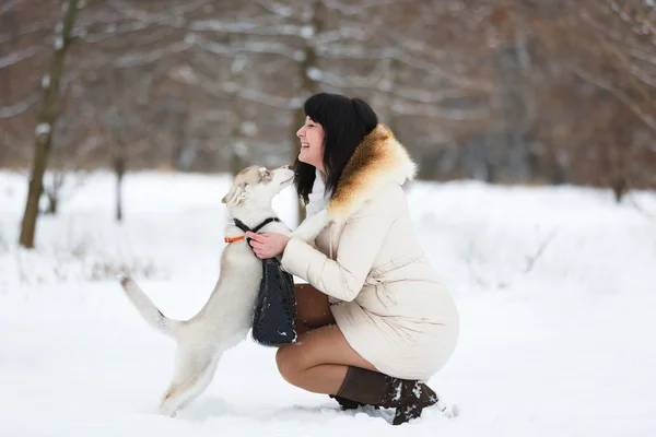 Woman with a gentle husky puppy — Stock Photo, Image