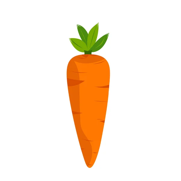 Cartoon Drawing Carrot Simple Vector Illustration — Stock Vector