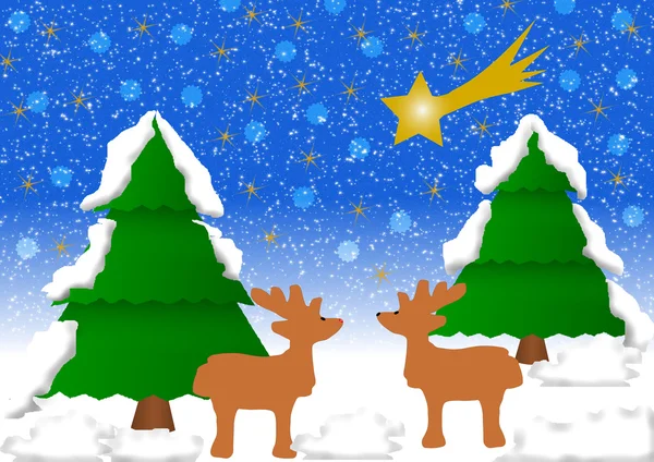 2 Reindeer in winter landscape — Stock Photo, Image