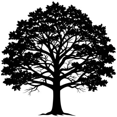 Ağaç kökleri ile vektör çizim