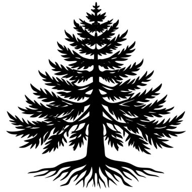 Detaylı dalları olan bir çam ağacının siyah silueti. Açık hava markalaşması, kış teması, kamp grafikleri, yürüyüş tasarımları, ekolojik logolar, minimalist manzaralar ve Noel süslemeleri için mükemmel..