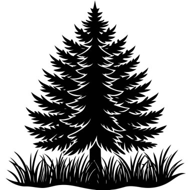 Detaylı dalları olan bir çam ağacının siyah silueti. Açık hava markalaşması, kış teması, kamp grafikleri, yürüyüş tasarımları, ekolojik logolar, minimalist manzaralar ve Noel süslemeleri için mükemmel..