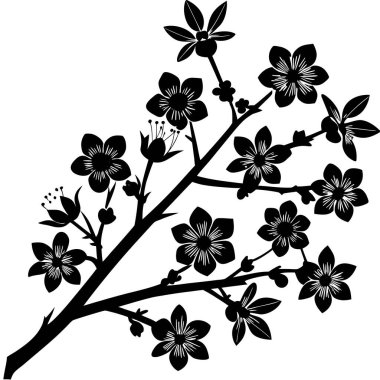 Narin dalları ve çiçekleri olan bir kiraz ağacının siyah silueti. Bahar tasarımları, Japon temaları, doğa logoları, refah markaları ve minimalist çizimler için mükemmel..