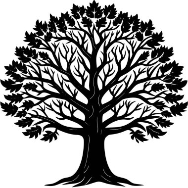 Detaylı dalları ve yaprakları olan siyah bir akçaağaç silueti. Sonbahar ve sonbahar sezonu tasarımları, eko markalaşma, doğa posterleri, minimalist logolar, açık hava çizimleri ve botanik sanat projeleri için mükemmel..