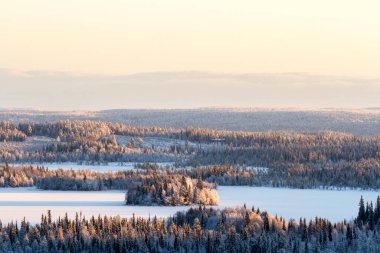 Finlandiya 'da güzel bir kış manzarası var, Ruka.