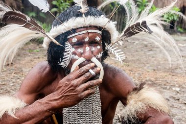 Wamena, Endonezya - 9 Ocak 2010: Dugum Dani Köyü 'nde sigara içen geleneksel bir elbise içindeki Dani kabilesinin lideri. Baliem Vadisi Papua, Irian Jaya, Endonezya Yeni Gine