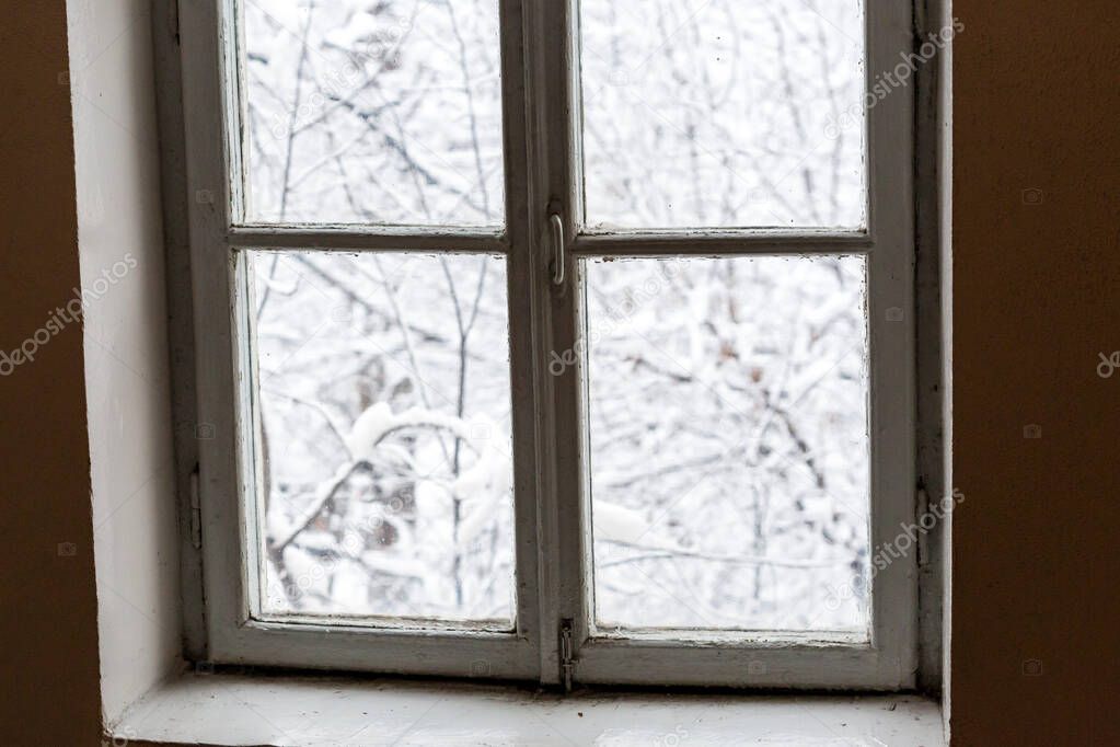 Window with winter landscape, tree branches covered with snow