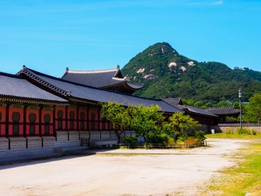 Geleneksel Kore mimarisi, güneşli bir günde, Gyeongbokgung Sarayı, Seul, Güney Kore.