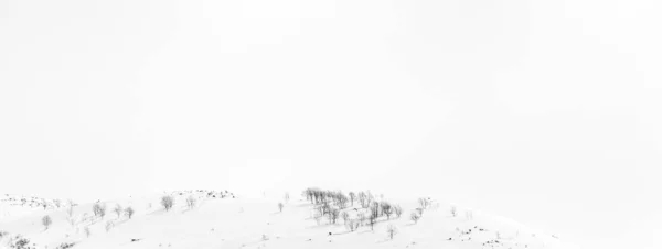 Fundo Inverno Árvores Nuas Nas Montanhas Cobertas Neve — Fotografia de Stock