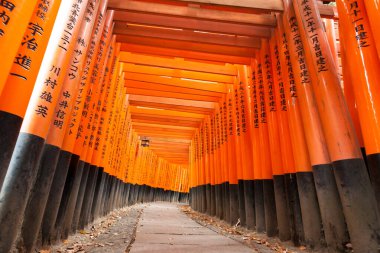 Kyoto, Japonya - 27 Aralık 2009: Fushimi Inari Taisha Tapınağı 'ndaki turuncu ahşap torii tüneli.