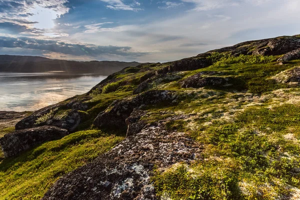 Pobřeží Barentsova moře v severním polárním létě. Arktický oceán, poloostrov Kola, Rusko — Stock fotografie