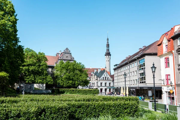 Tallin Estonia Mayo 2019 Gente Caminando Por Calle Casco Antiguo — Foto de Stock