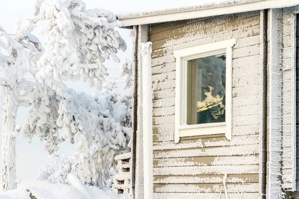 Janela Com Galhos Árvore Reflexão Cobertos Neve Paisagem Inverno — Fotografia de Stock