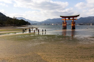 Miyajima, Japonya - 28 Aralık 2009: Miyajima Adası kıyılarındaki Itsukushima Tapınağı 'nın Yüzen Tori Kapısı yakınında yürüyen turistler.