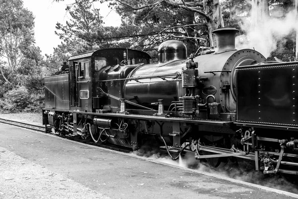 Melbourne Australia Enero 2009 Puffing Billy Steam Train Ferrocarril Estrecho — Foto de Stock