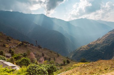 Sonbaharda tarlaları olan Asya dağ köyü, Annapurna Koruma Alanı, Himalaya, Nepal.