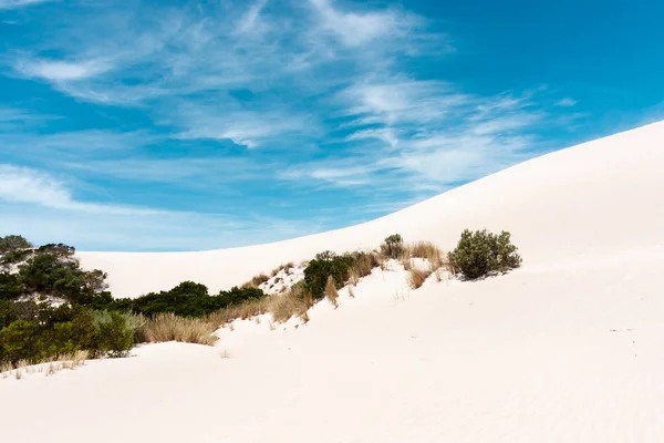 Avustralya, Kanguru Adası 'ndaki Küçük Sahra Çölü' nde beyaz kum. — Stok fotoğraf