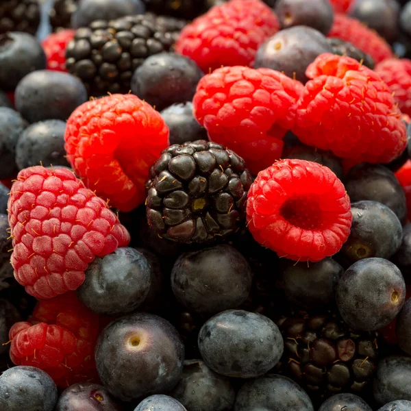 Fresh Ripe Juicy Organic Blueberries Raspberries Blackberries Close Image — Stock Photo, Image