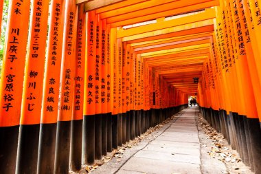 Kyoto, Japonya - 27 Aralık 2009: Fushimi Inari Taisha Tapınağı 'ndaki turuncu ahşap torii tüneli.