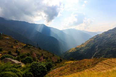 Bulutların arasından ışık saçan güneş ışınları Himalaya, Nepal 'deki teraslarda pirinç tarlaları. Kırsal alanlar.