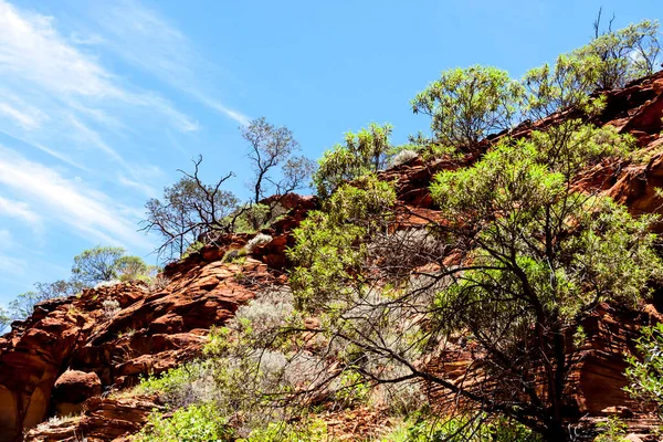 Australische Wüste Kings Canyon Northern Territory Australien — Stockfoto