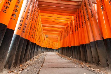 Kyoto, Japonya - 27 Aralık 2009: Fushimi Inari Taisha Tapınağı 'ndaki turuncu tahta torii tüneli. Turistler için en ünlü yerlerden biridir..