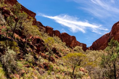 Kings Canyon, Kuzey Bölgesi, Watarrka Ulusal Parkı, Avustralya